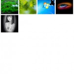 mza_2458834334670212378.320x480-75