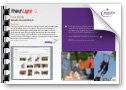 Scouts PDF