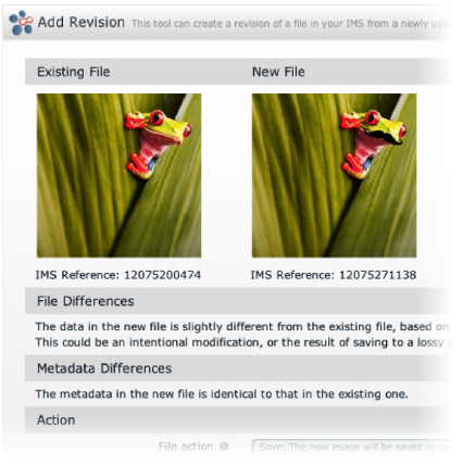 Duplicate Image Detection