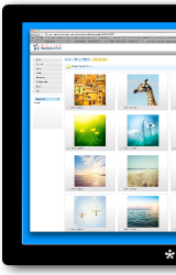 Web based digital asset management