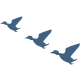 Free migration - DAM services
