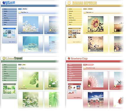 Digital Asset Management Software Resellers