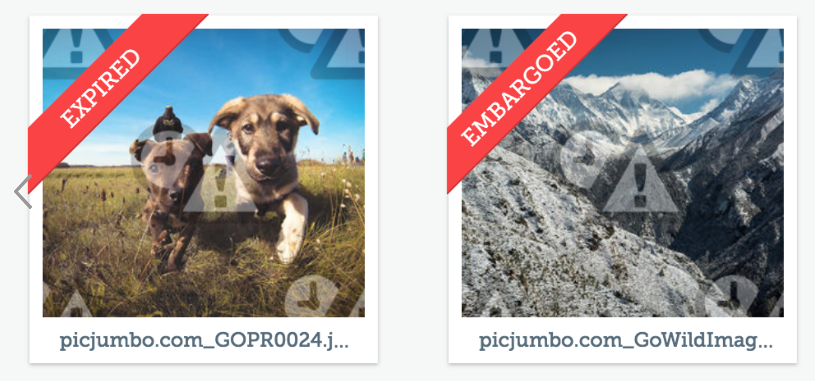 Example GDPR expiry and embargo