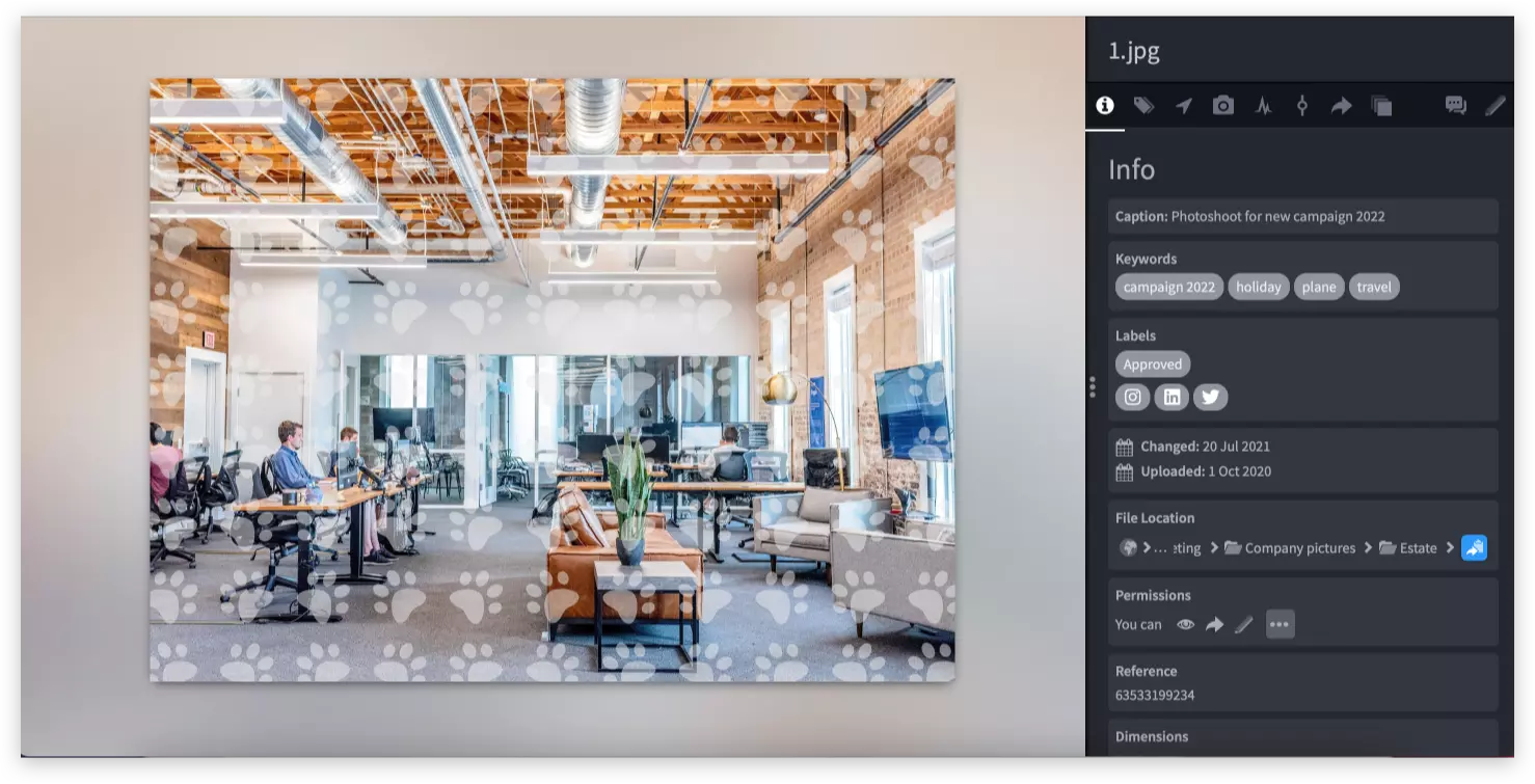 Read more about Chorus Watermarks Module