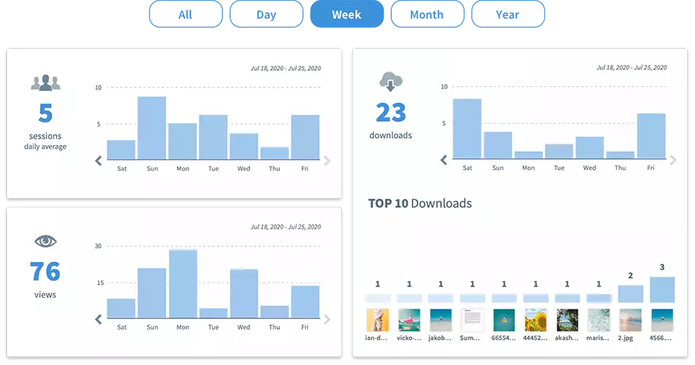 Activity and Statistics - digital asset management auditing tools built in as standard