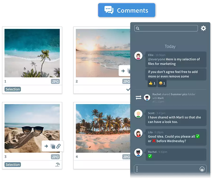 Chat and Comments inside Third Light DAM