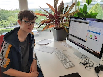 Work Experience