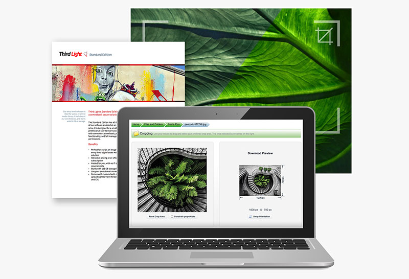 Digital Asset Management and APIs, integration and connectivity