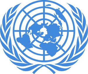 Digital Asset Management Customer - United Nations
