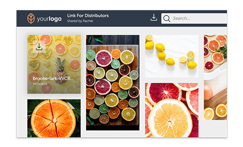Sharing and publishing marketing content using digital asset management