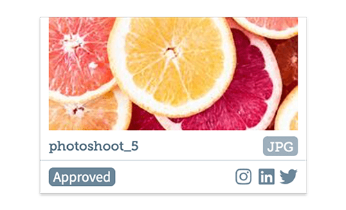 Organize digital assets for social media